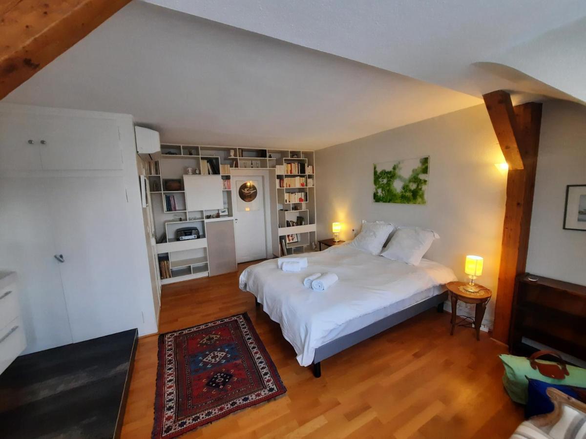 145M² City Center 4 Bedrooms View Of The Cathedral Strasbourg Kültér fotó