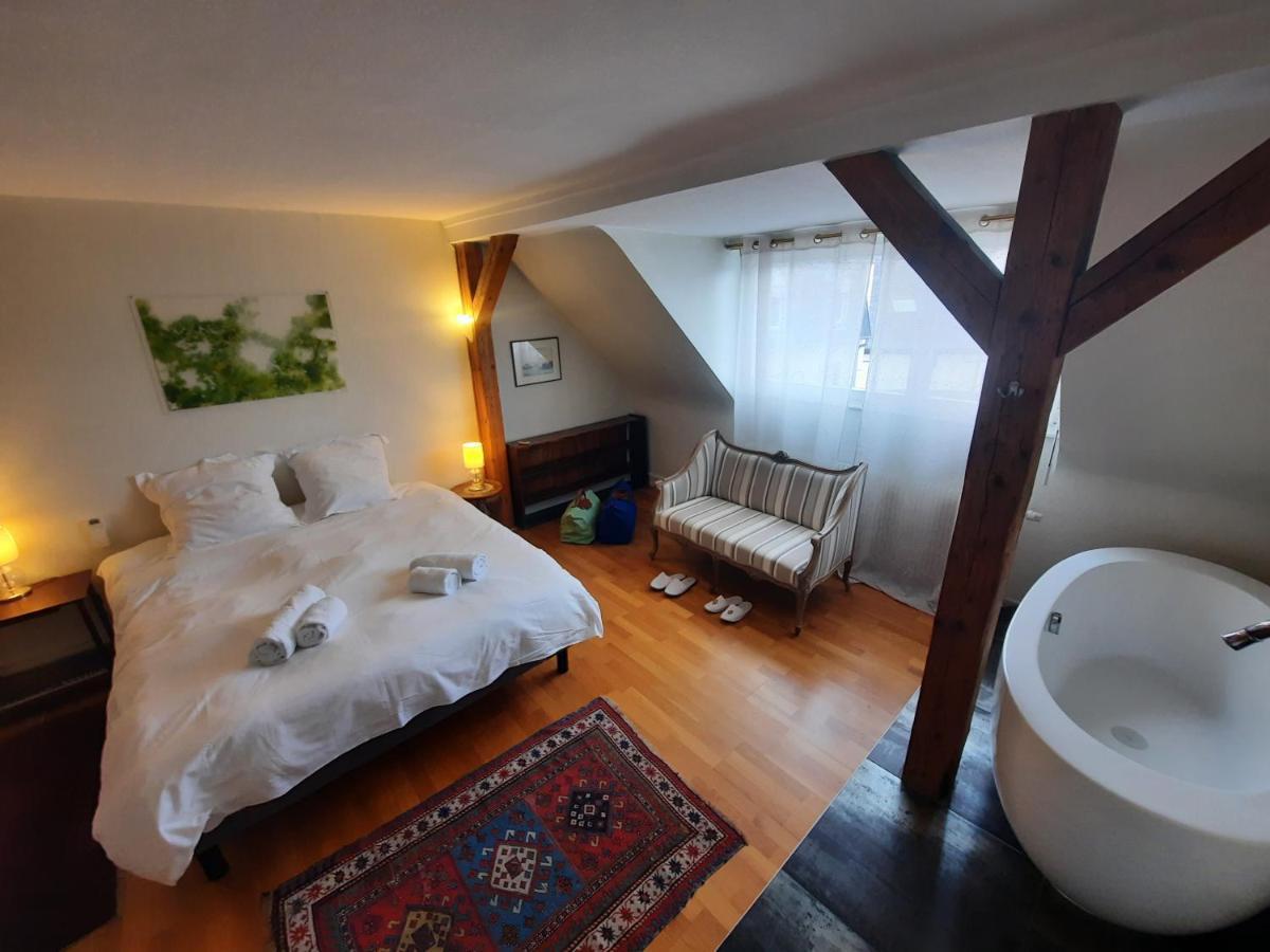 145M² City Center 4 Bedrooms View Of The Cathedral Strasbourg Kültér fotó